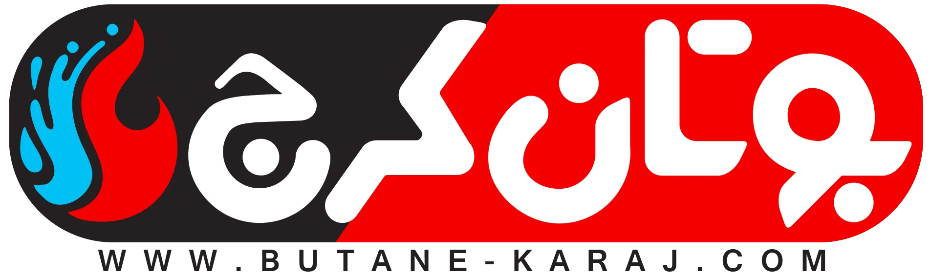لوگوی نمایندگی بوتان کرج